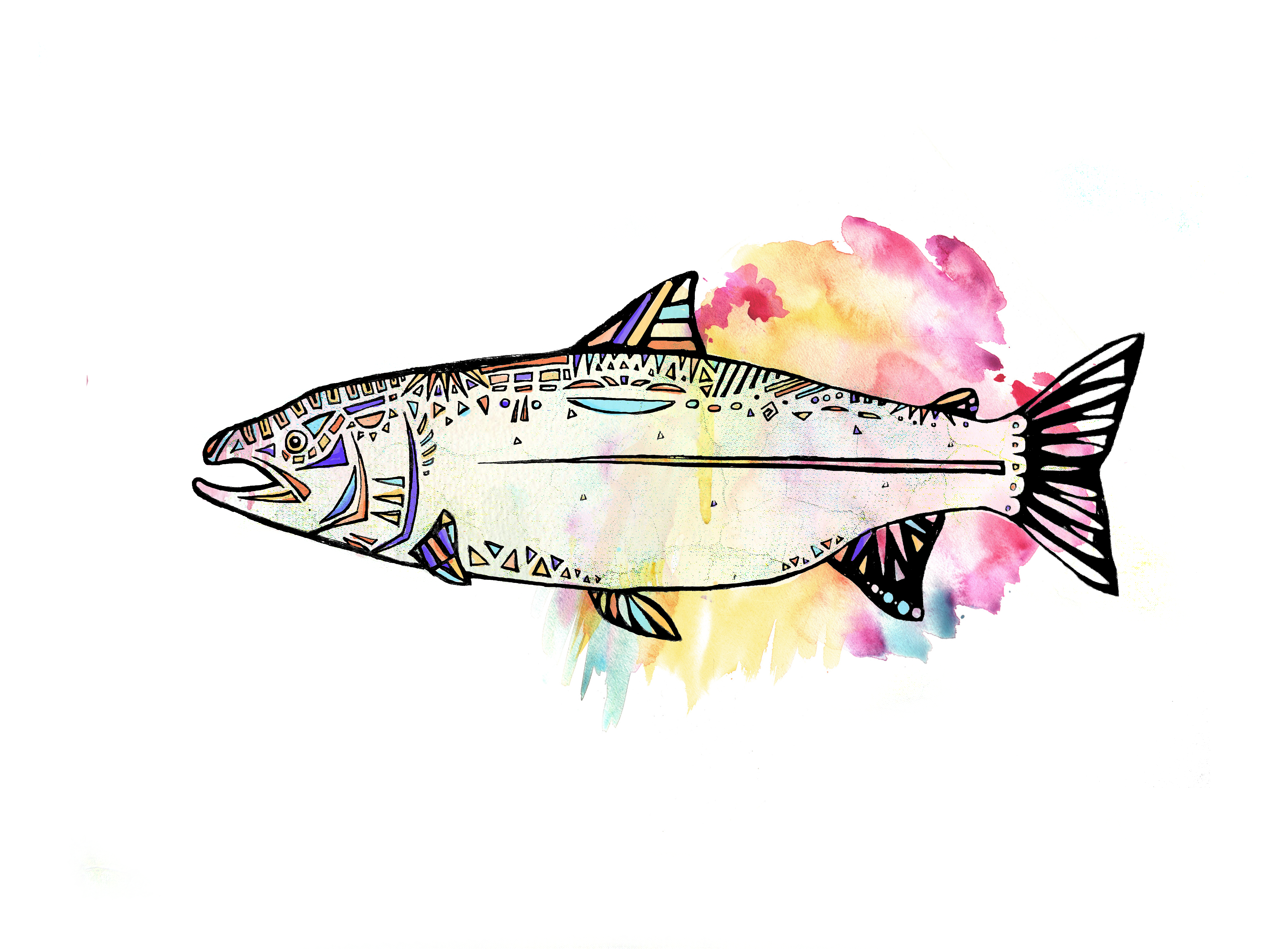 watercolor image of salmon